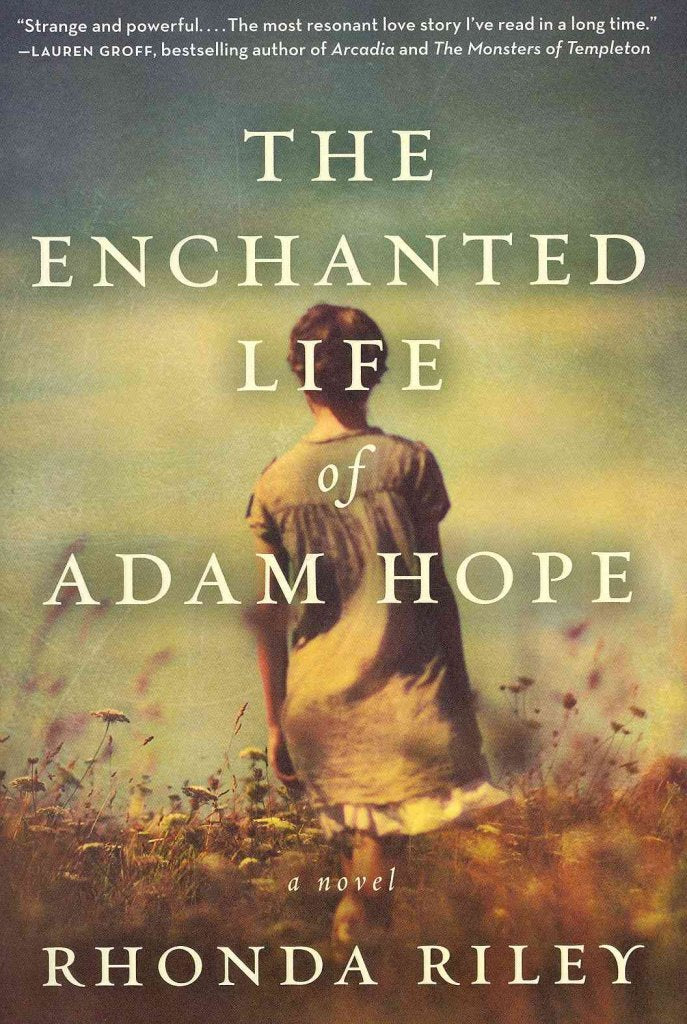The Enchanted Life Of Adam Hope: A Novel