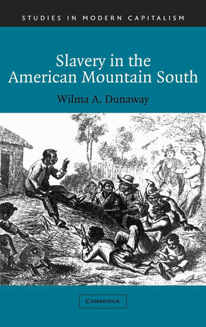 Slavery in the American Mountain South (Studies in Modern Capitalism),Used