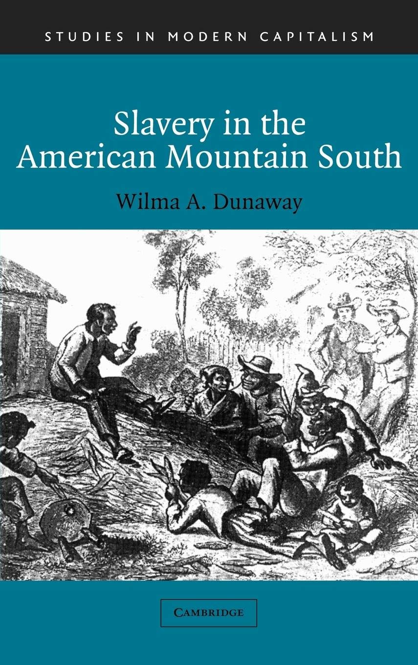 Slavery in the American Mountain South (Studies in Modern Capitalism),Used