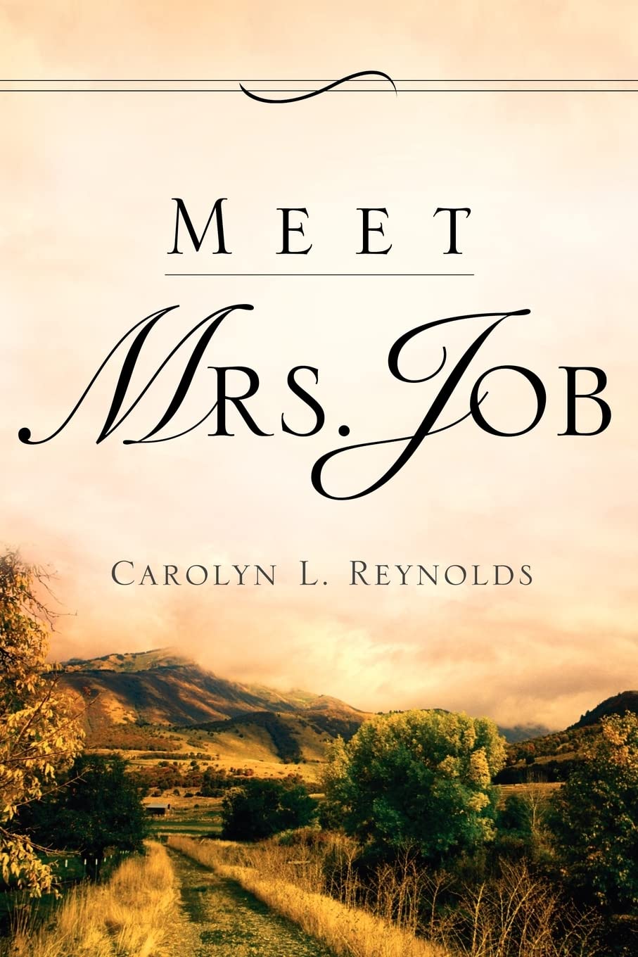 Meet Mrs. Job,Used