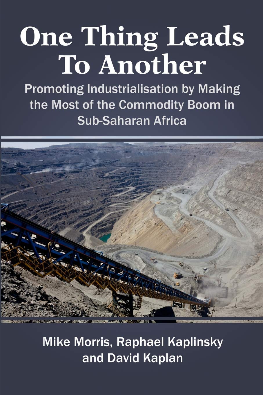 One Thing Leads To Another: Promoting Industrialisation By Making The Most Of The Commodity Boom In Subsaharan Africa,New