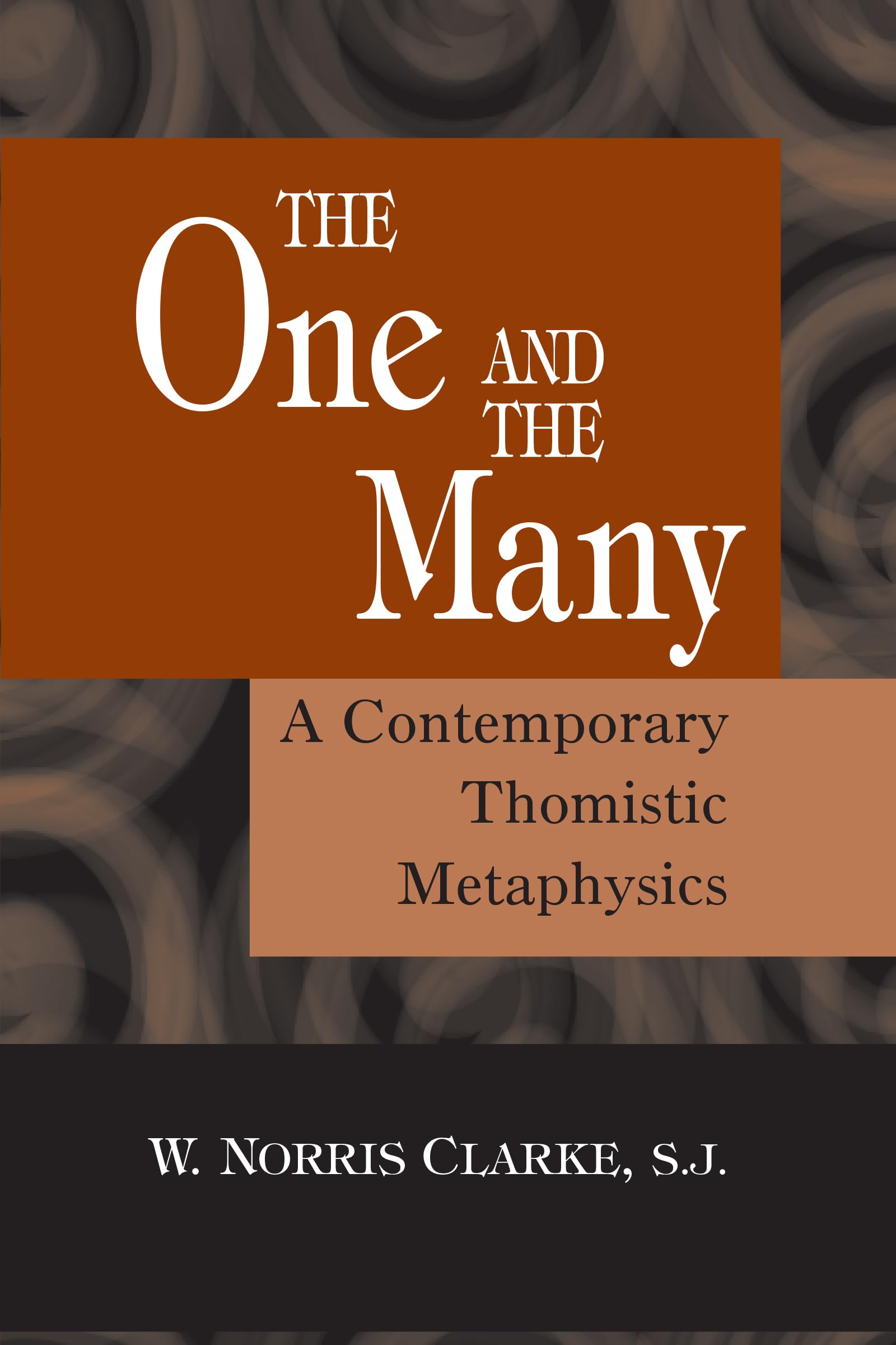The One and the Many: A Contemporary Thomistic Metaphysics,Used