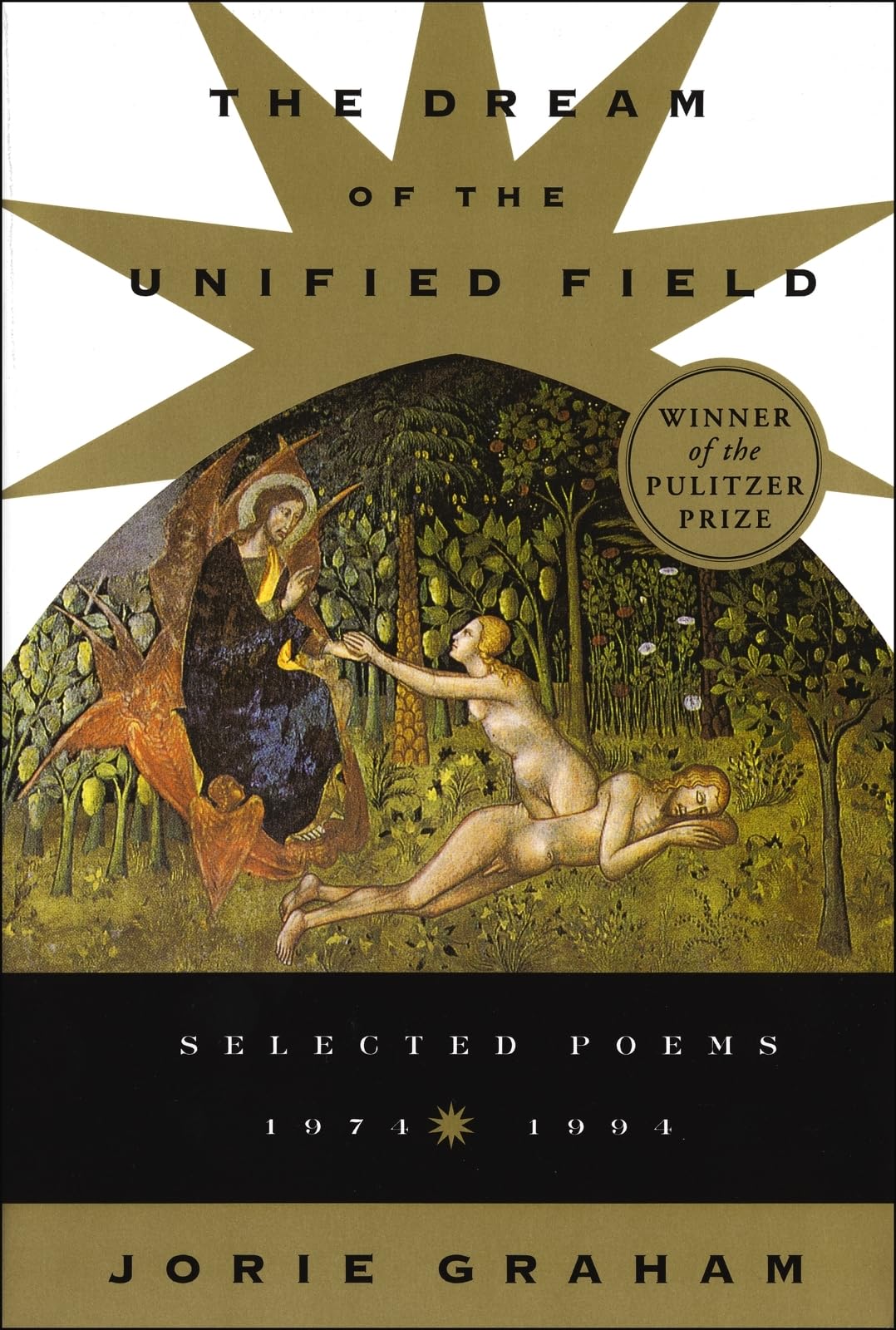 Dream Of The Unified Field,Used
