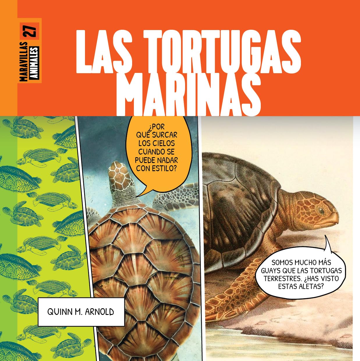 LAS TORTUGAS MARINAS