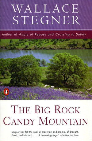 The Big Rock Candy Mountain (Contemporary American Fiction),Used