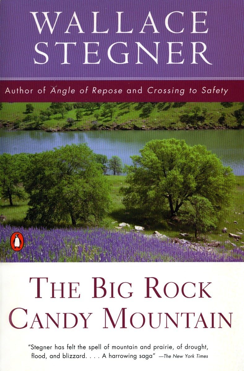 The Big Rock Candy Mountain (Contemporary American Fiction),Used