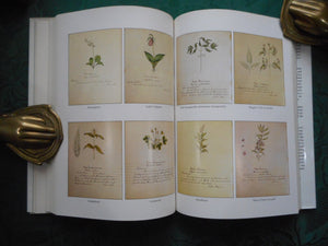 Shaker herbs: A history and a compendium,Used