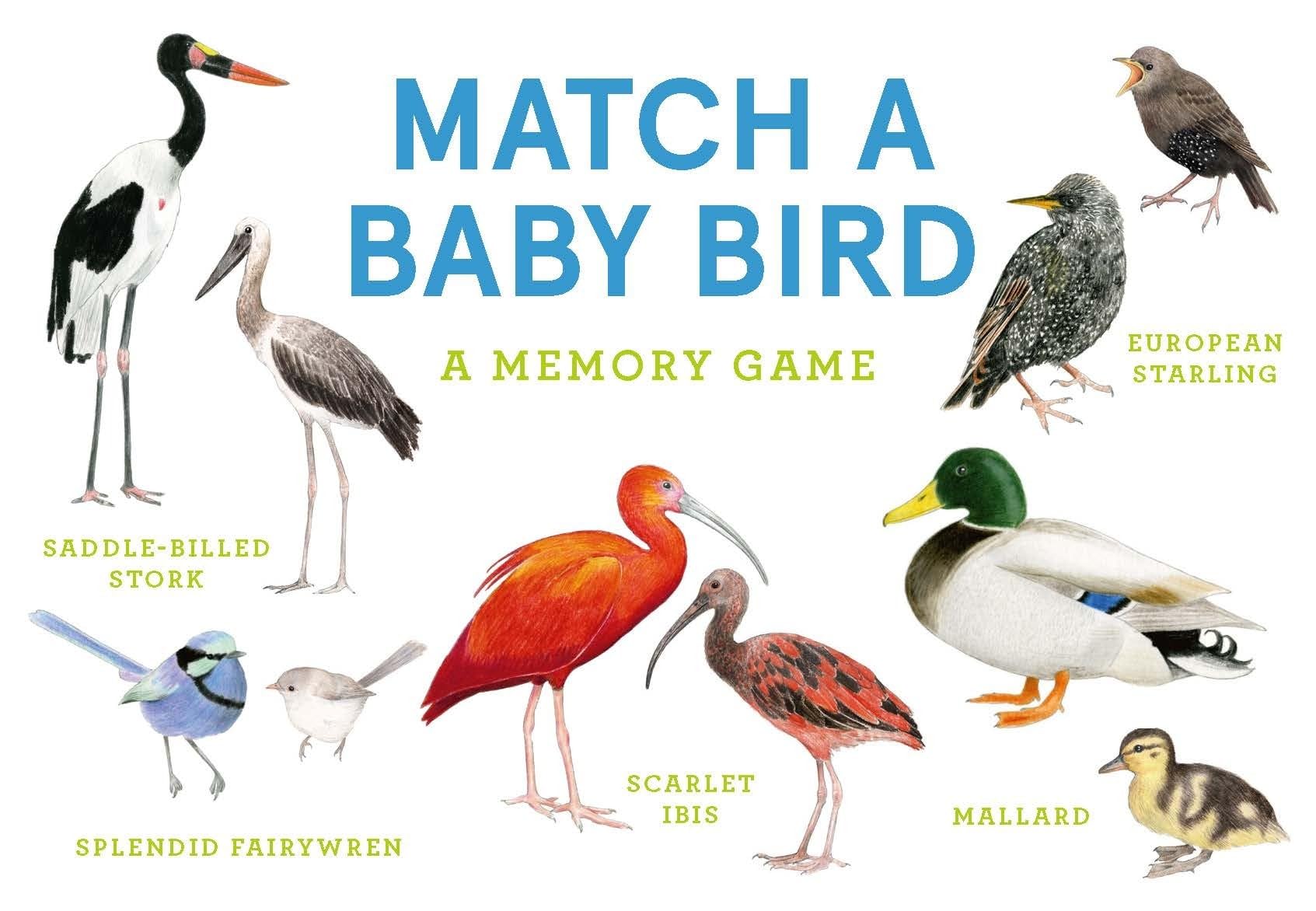 Match A Baby Bird