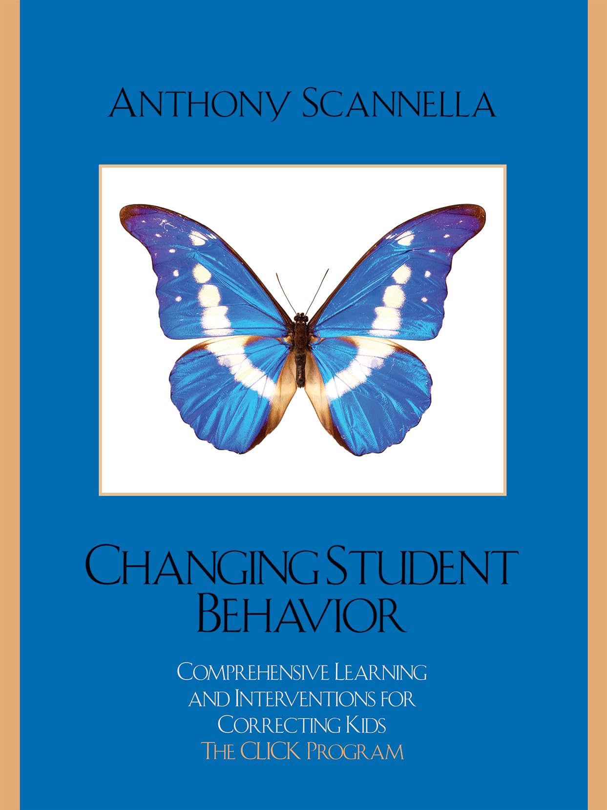 Changing Student Behavior: Comprehensive Learning and Interventions for Correcting Kids,Used