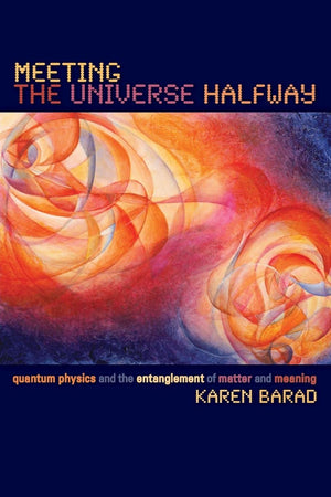 Meeting the Universe Halfway: Quantum Physics and the Entanglement of Matter and Meaning,Used