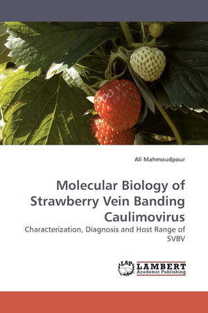 Molecular Biology of Strawberry Vein Banding Caulimovirus: Characterization, Diagnosis and Host Range of SVBV,Used