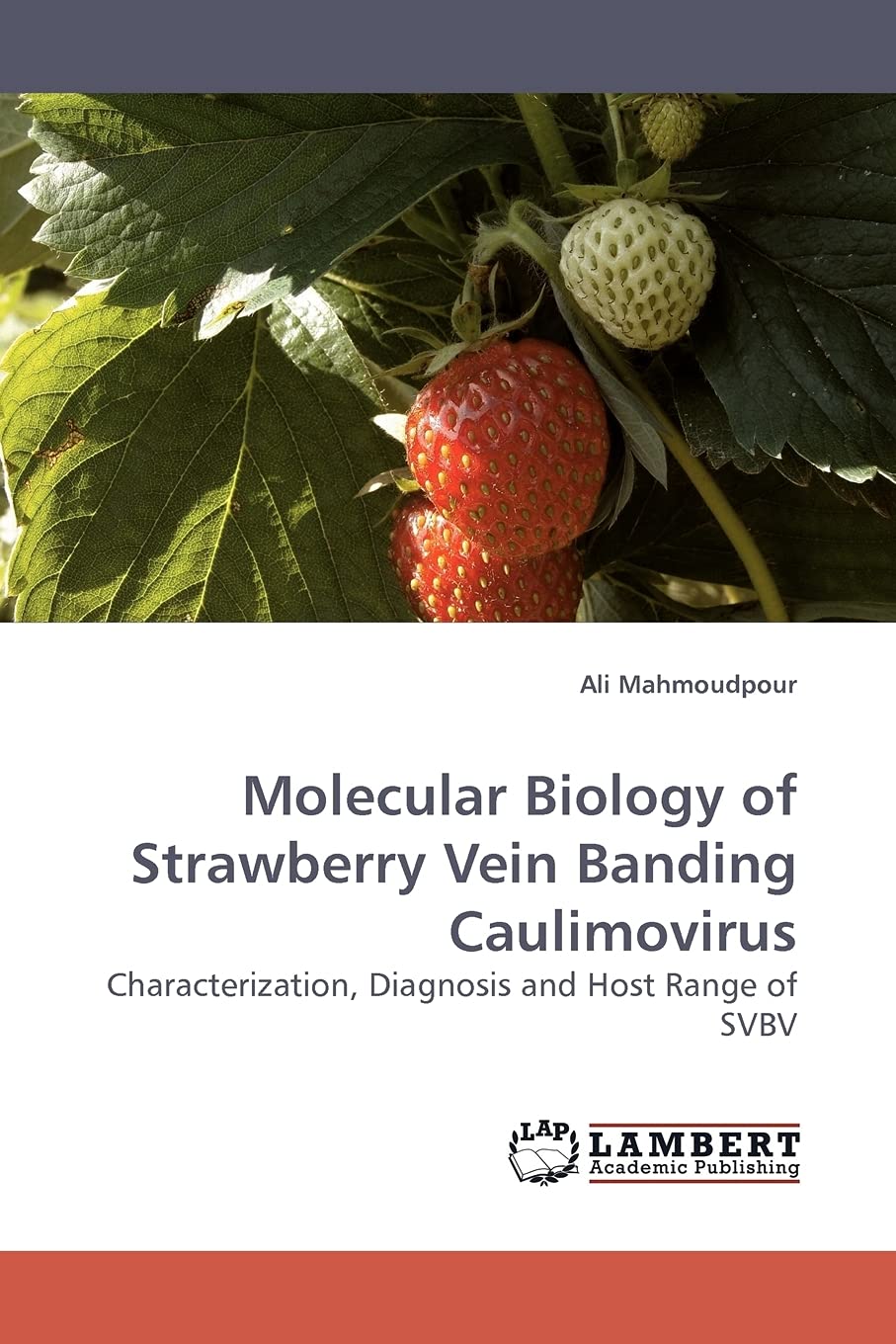 Molecular Biology of Strawberry Vein Banding Caulimovirus: Characterization, Diagnosis and Host Range of SVBV,Used