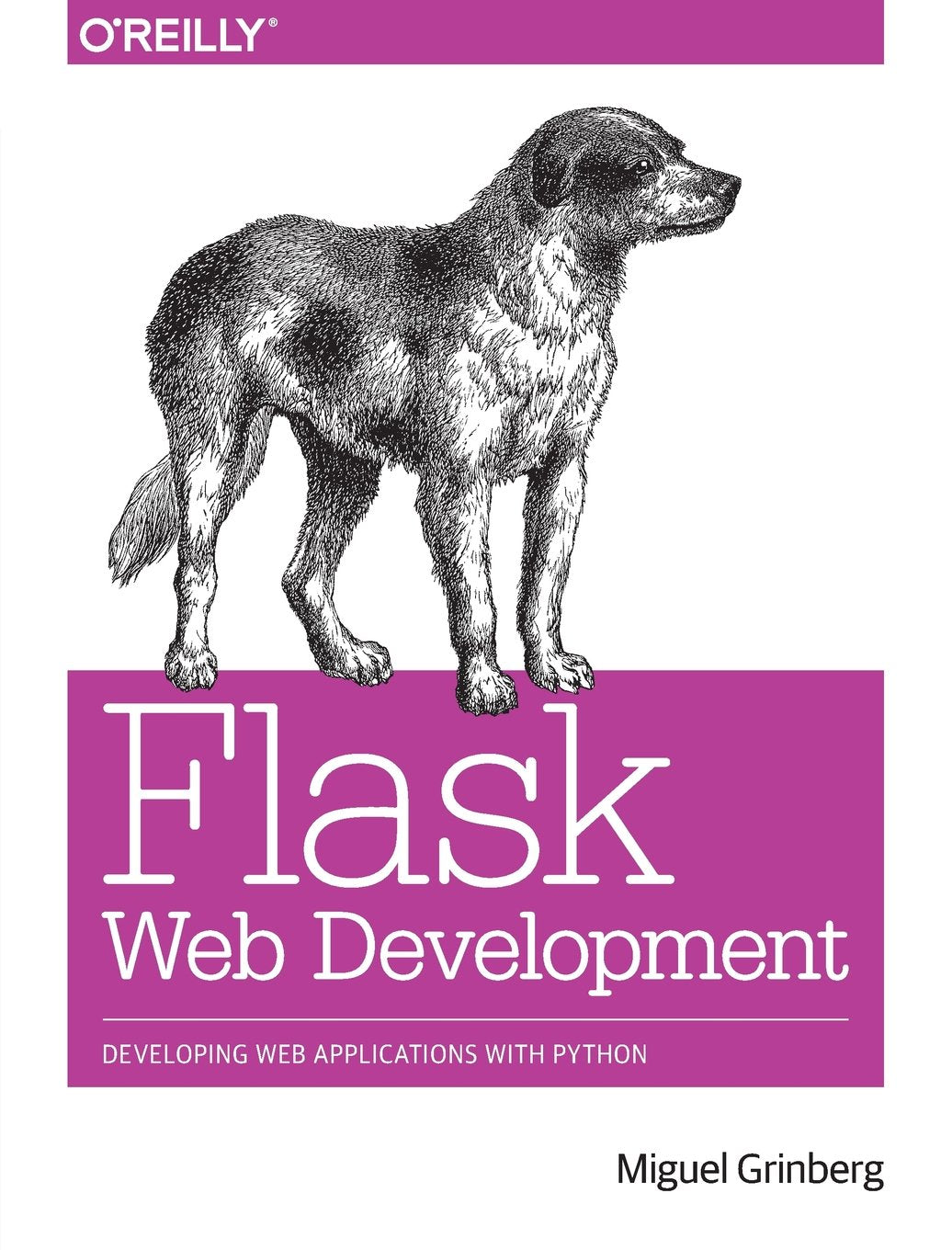 Flask Web Development: Developing Web Applications with Python,Used