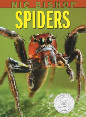 Nic Bishop Spiders (Sibert Honor Book)