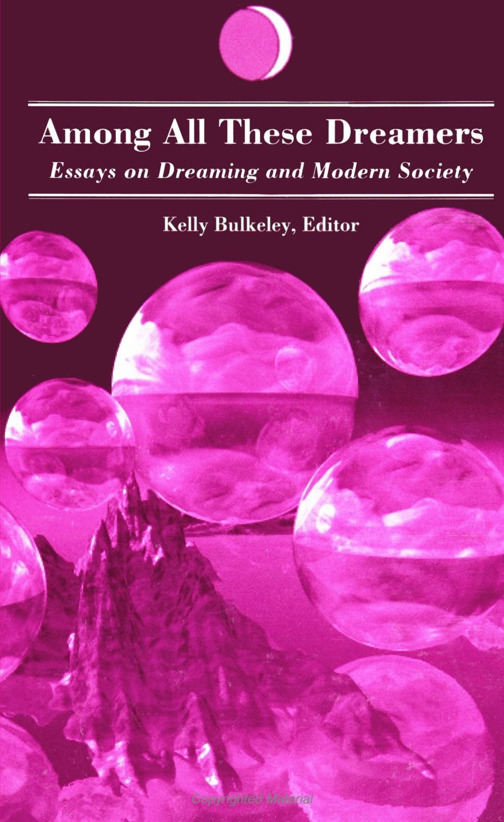 Among All These Dreamers: Essays on Dreaming and Modern Society (S U N Y Series in Dream Studies) (Suny Dream Studies)