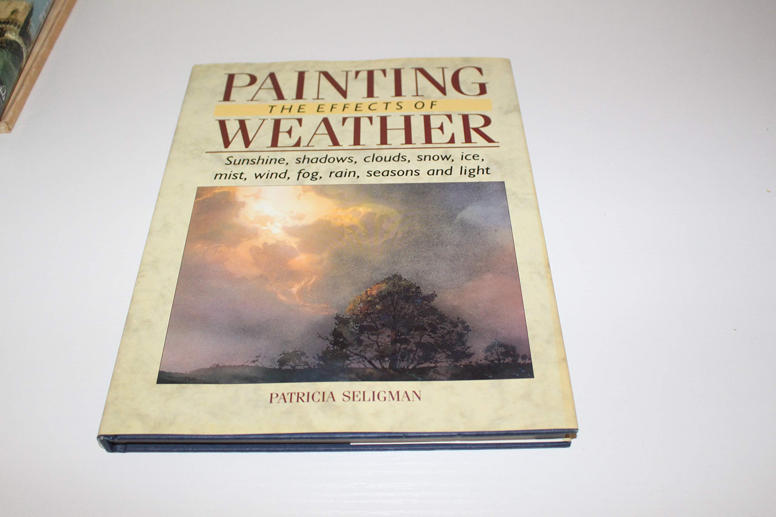 Painting the Effects of Weather,Used