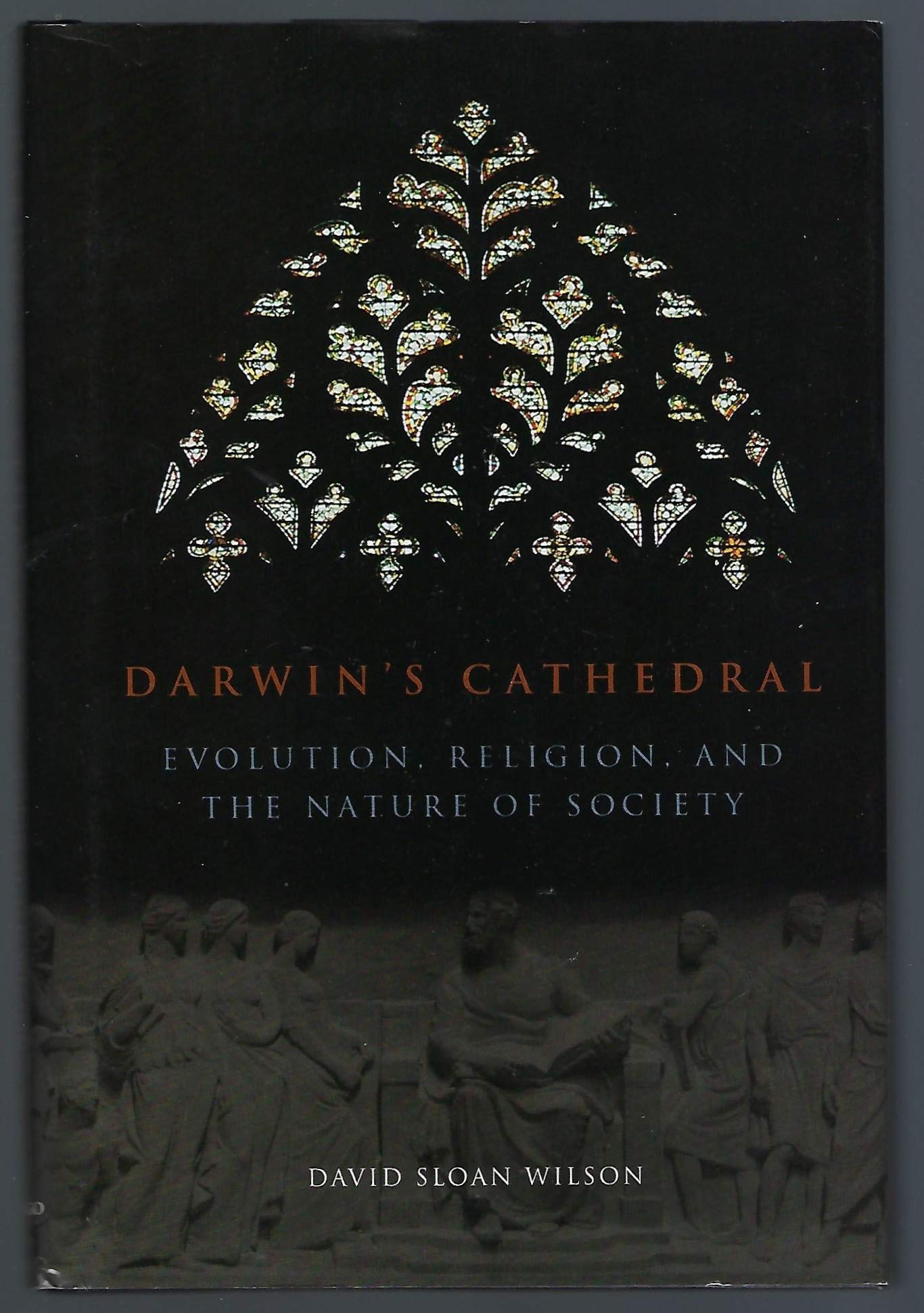 Darwins Cathedral: Evolution, Religion, And The Nature Of Society-used