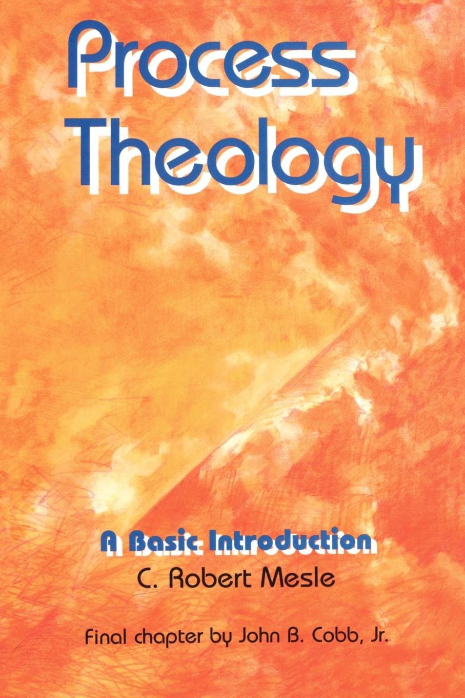 Process Theology: A Basic Introduction,Used