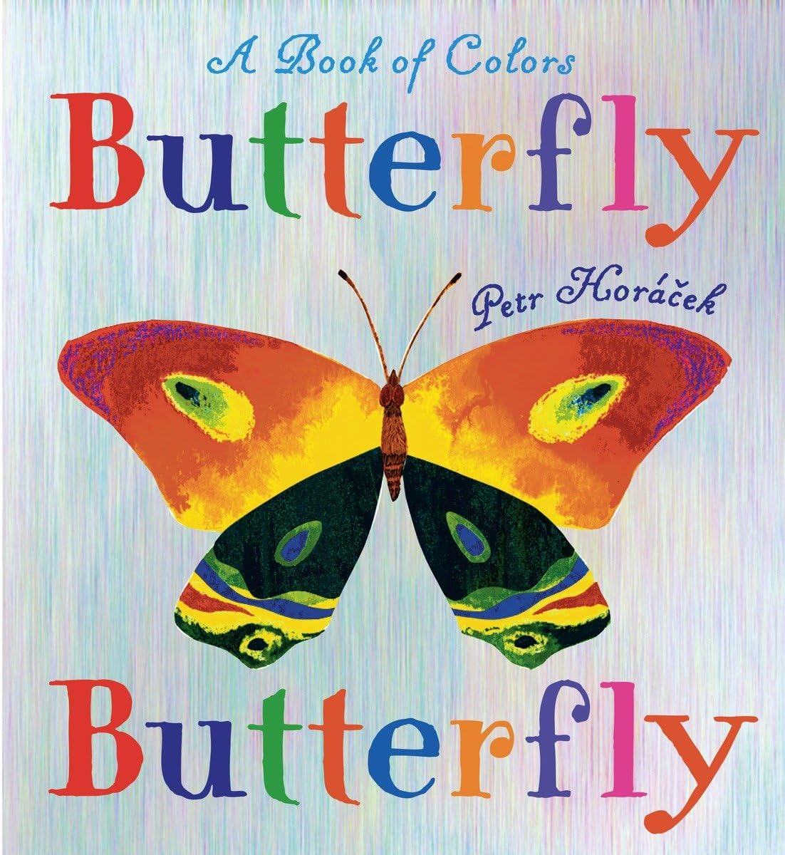 Butterfly Butterfly: A Book of Colors,Used