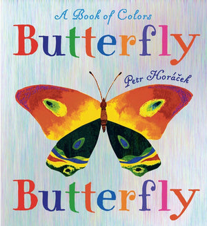 Butterfly Butterfly: A Book of Colors,Used