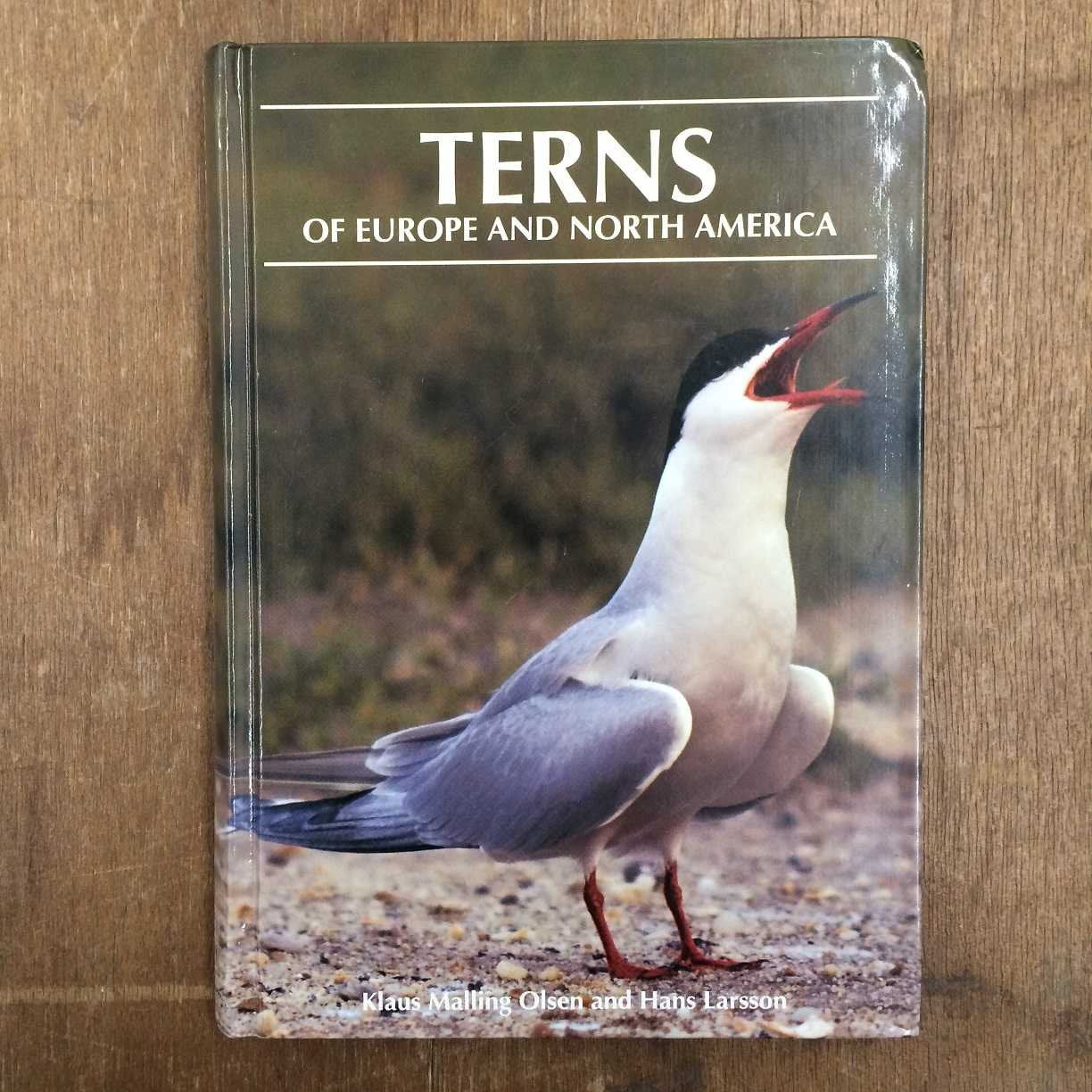 Terns Of Europe And North America,New
