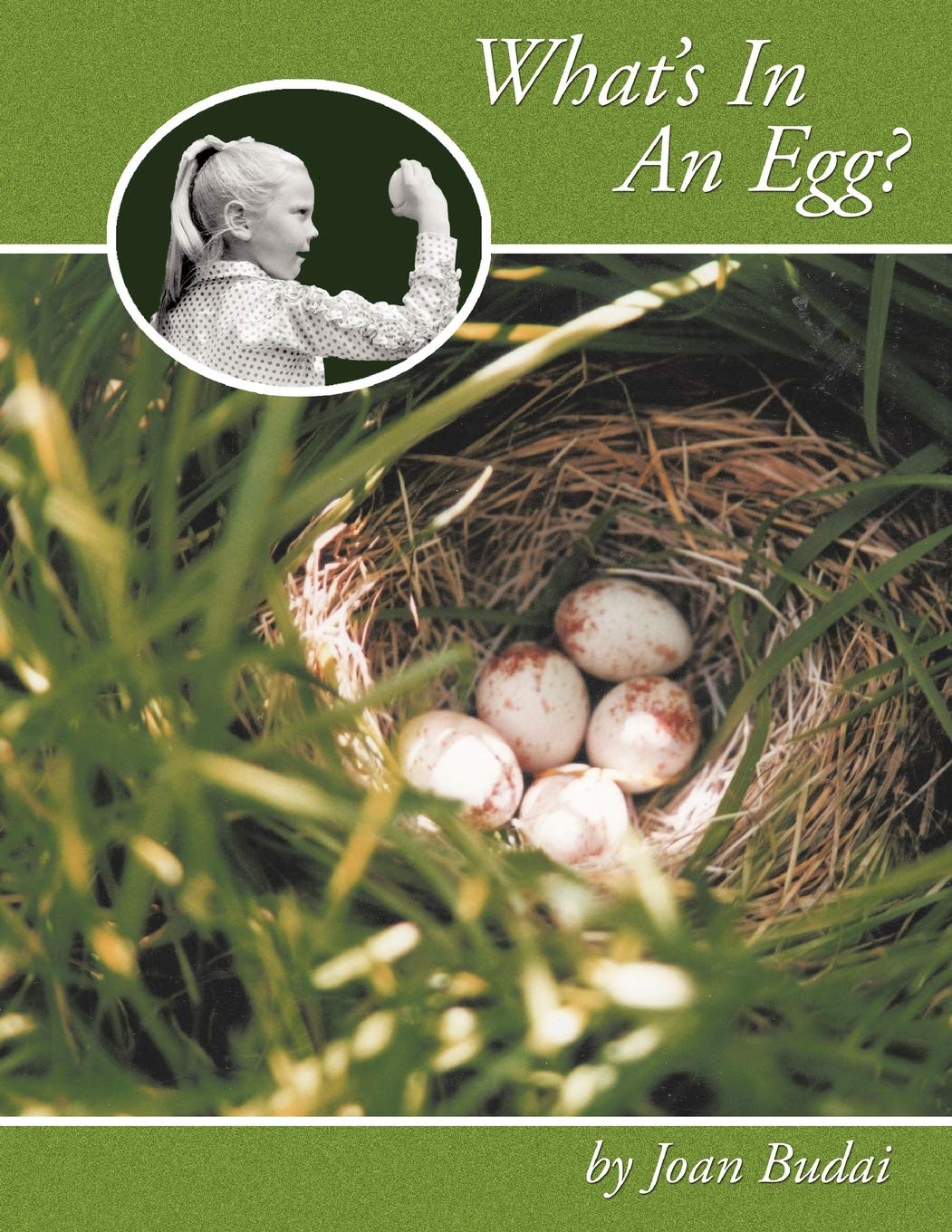 What's In An Egg?,Used