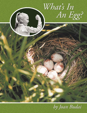 What's In An Egg?,Used