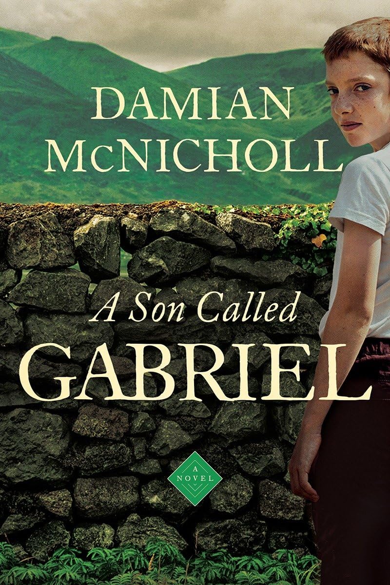 A Son Called Gabriel: A Novel,Used