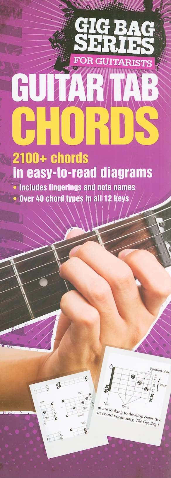 Guitar Tab Chords: The Gig Bag Series (Gig Bag Series For Guitarists),Used