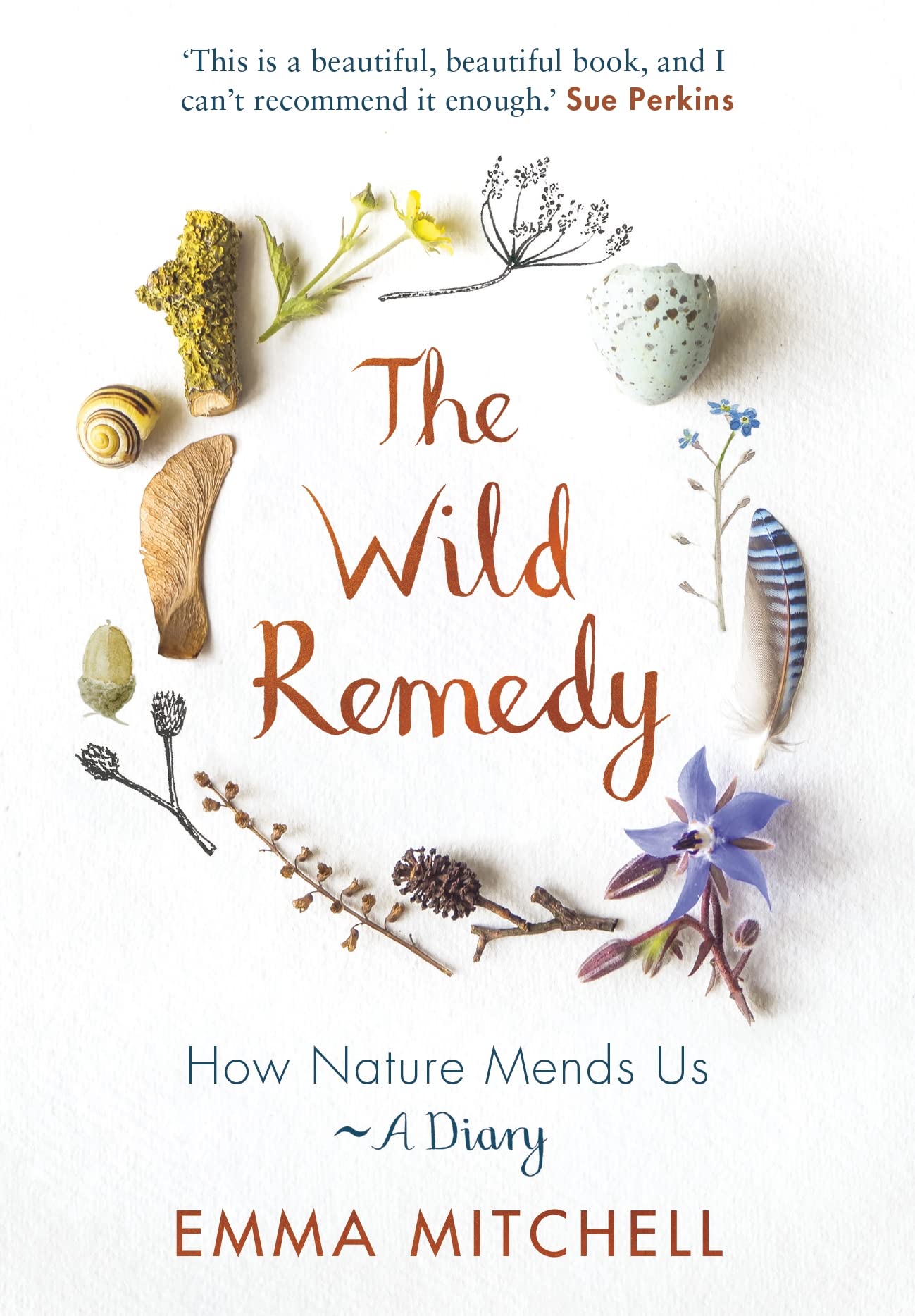 The Wild Remedy: How Nature Mends Us  A Diary