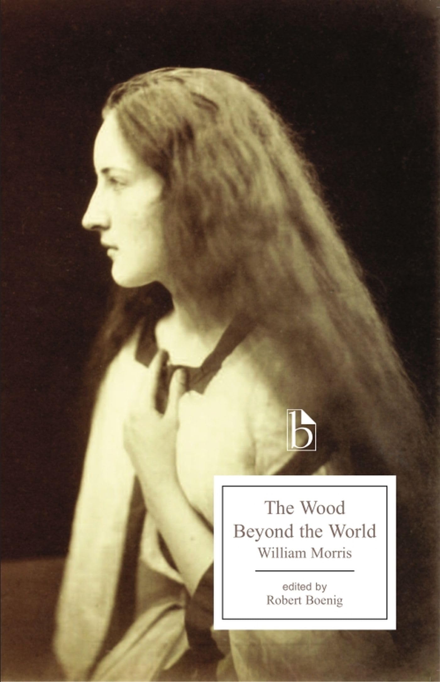 The Wood Beyond the World (Broadview Editions),Used