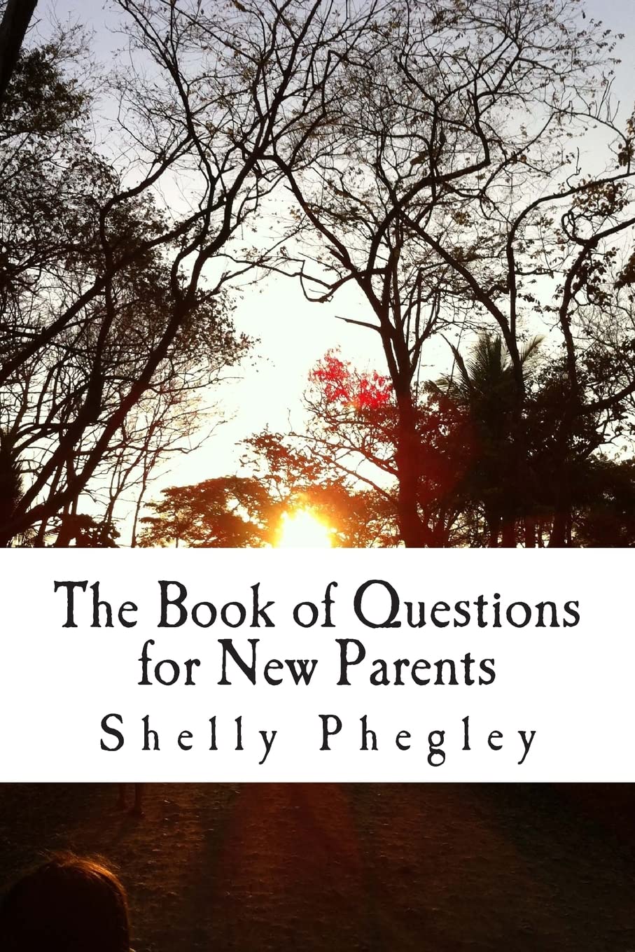 The Book Of Questions For New Parents,Used
