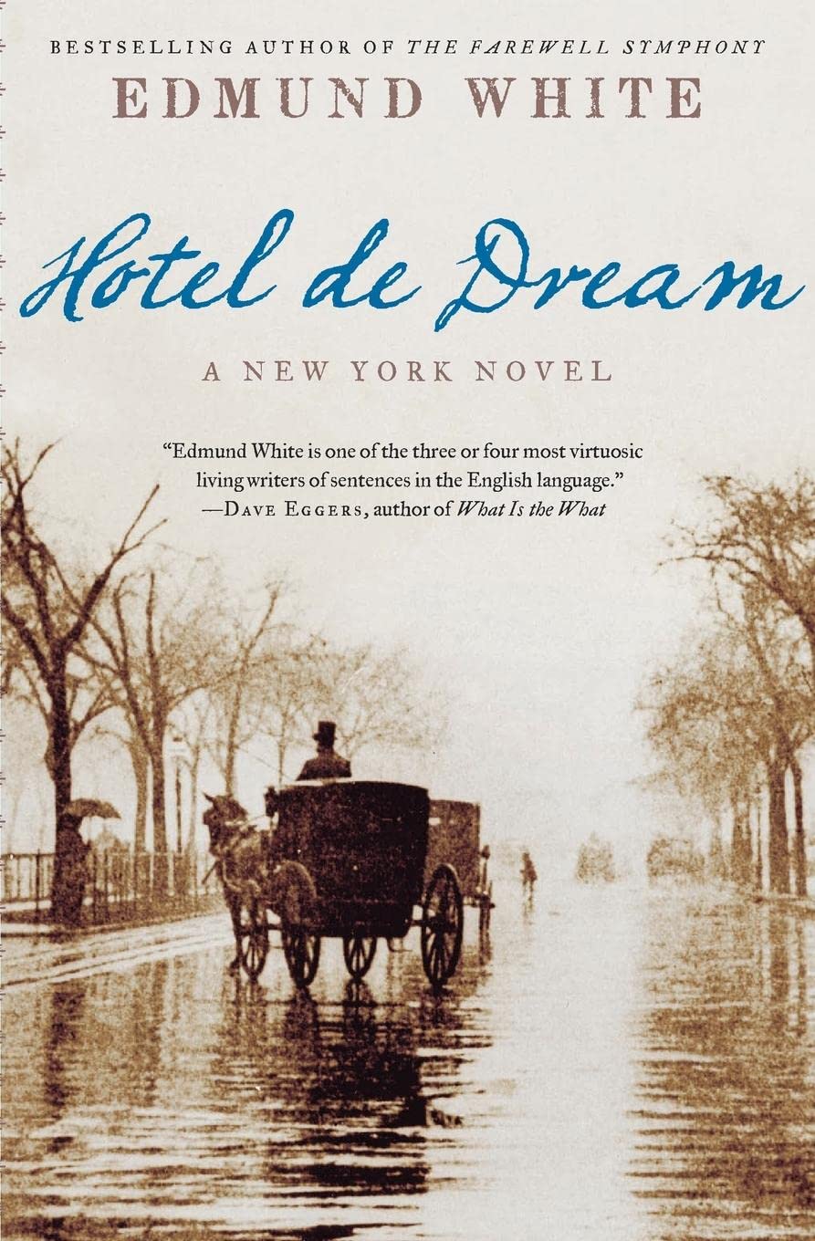 Hotel de Dream: A New York Novel,Used
