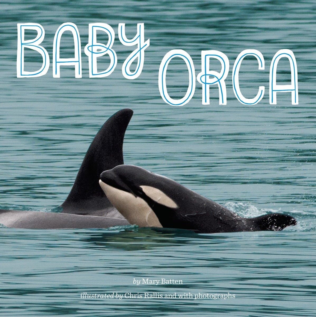 Baby Orca,Used
