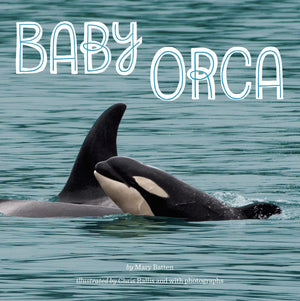 Baby Orca,Used