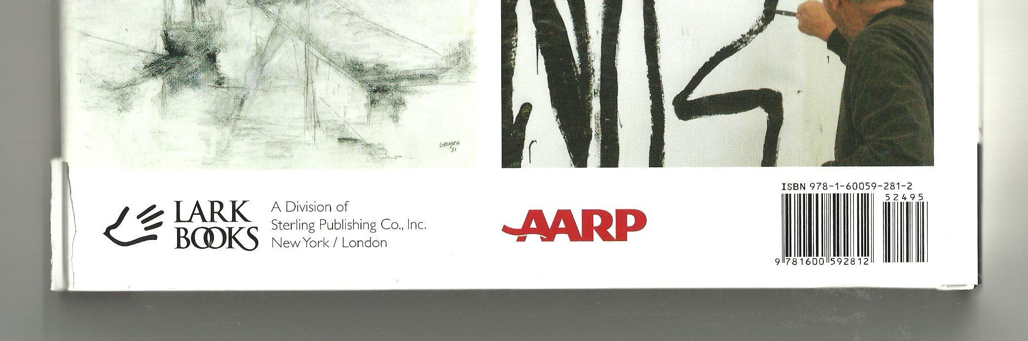 Expressive Drawing: A Practical Guide to Freeing the Artist Within (Live and Learn Series AARP),Used