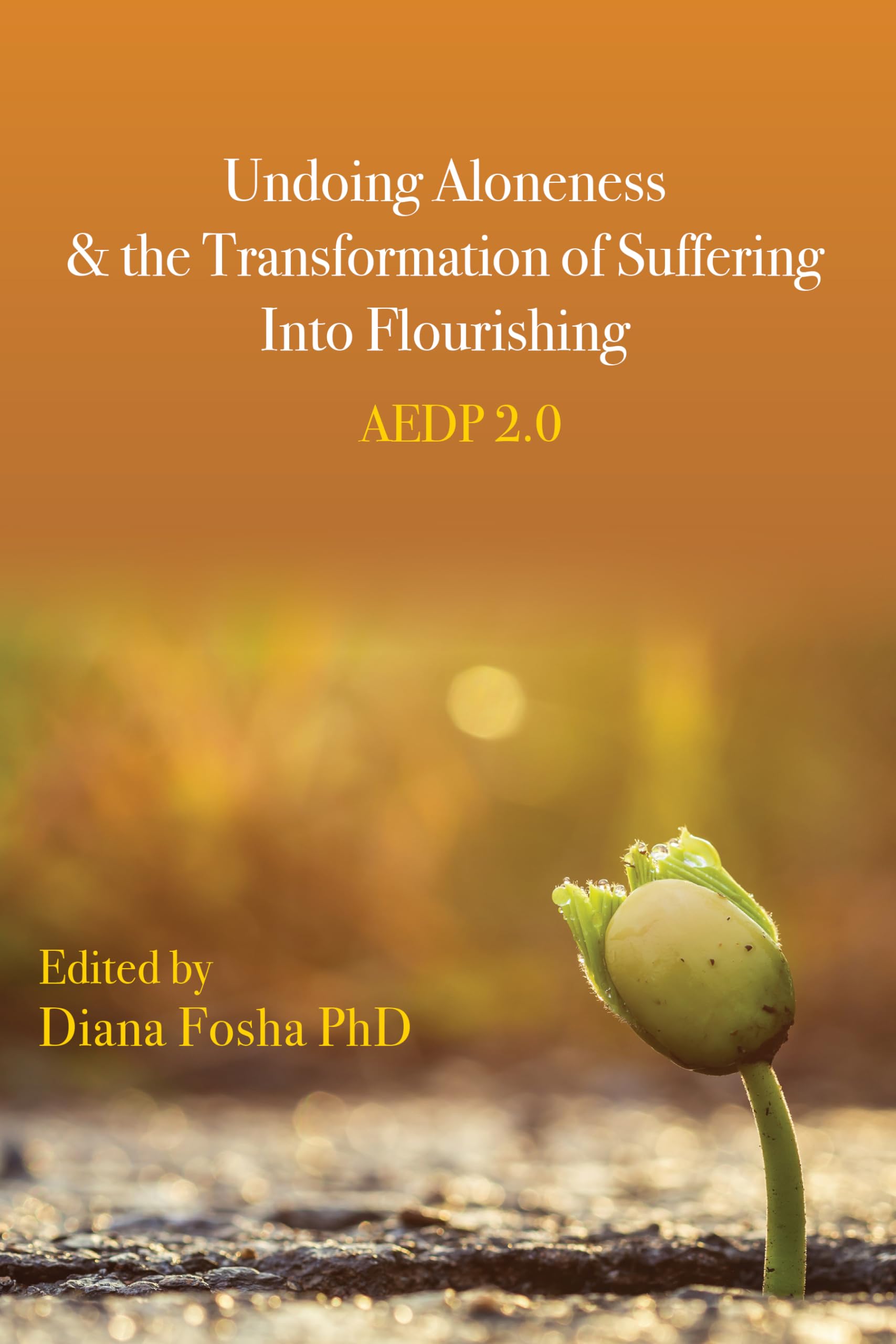 Undoing Aloneness and the Transformation of Suffering Into Flourishing: AEDP 2.0,New