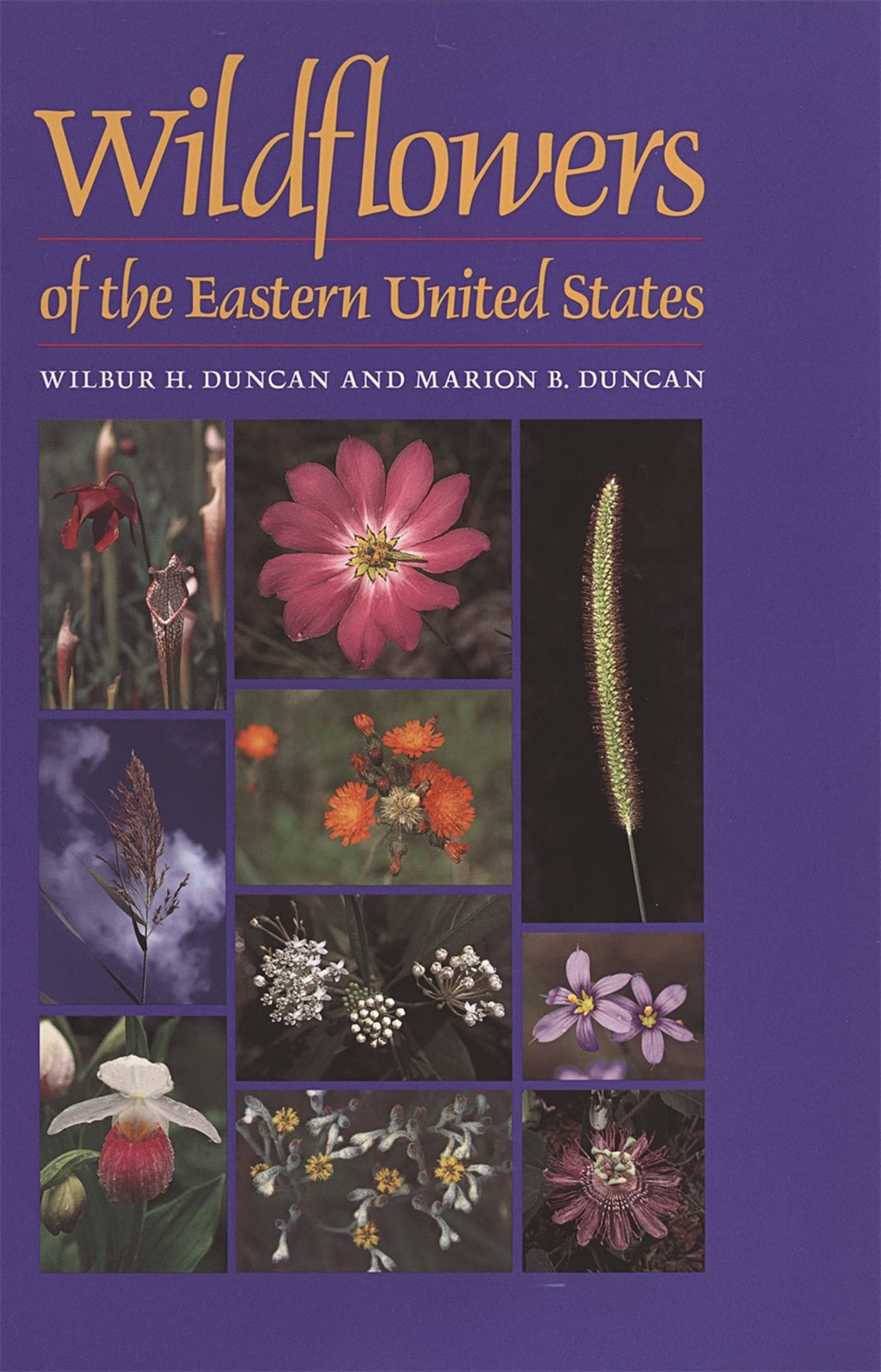 Wildflowers Of The Eastern United States (Wormsloe Foundation Nature Books),Used