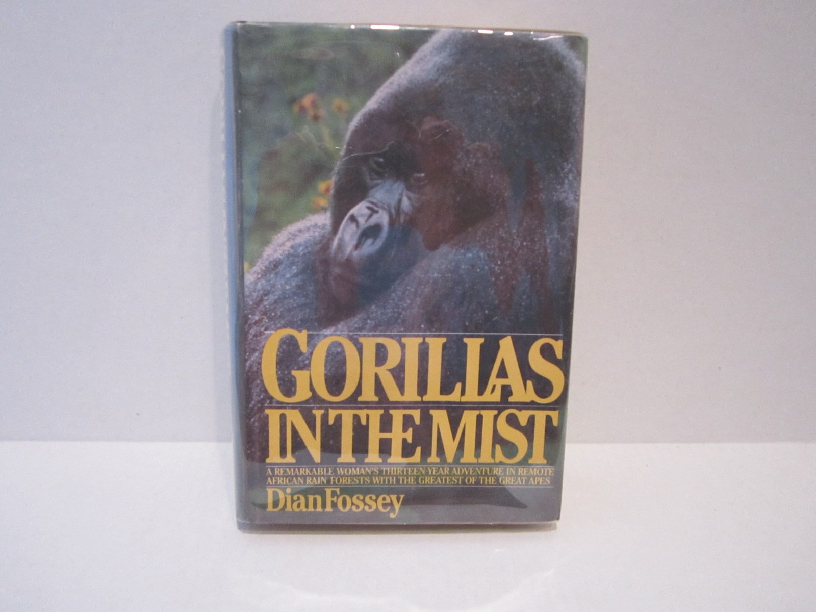 Gorillas In The Mist