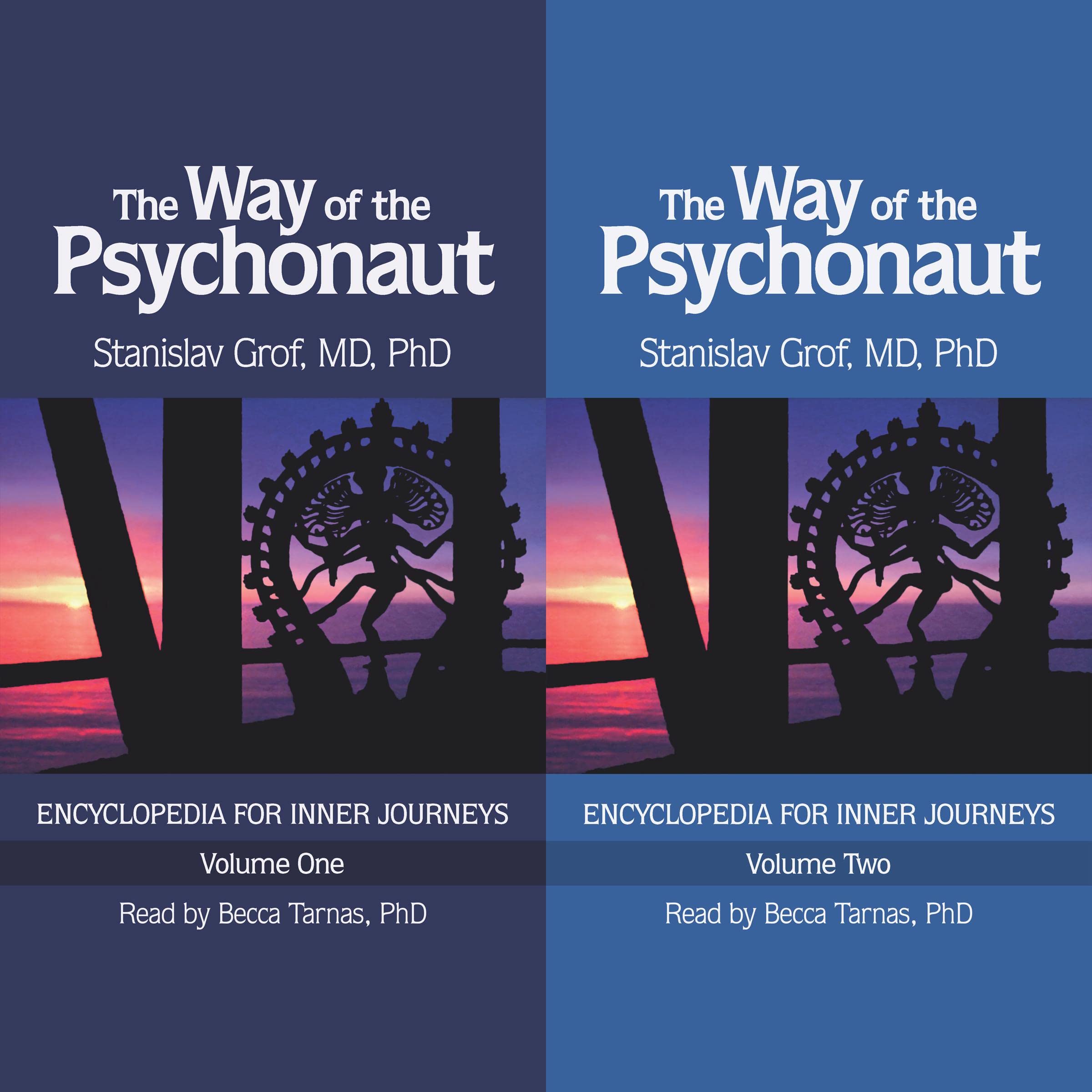 The Way of the Psychonaut Vol. 1: Encyclopedia for Inner Journeys,Used