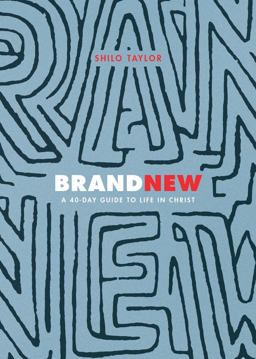 Brand New: A 40Day Guide to Life in Christ,Used