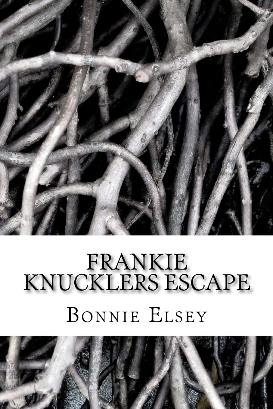 Frankie Knucklers Escape,Used