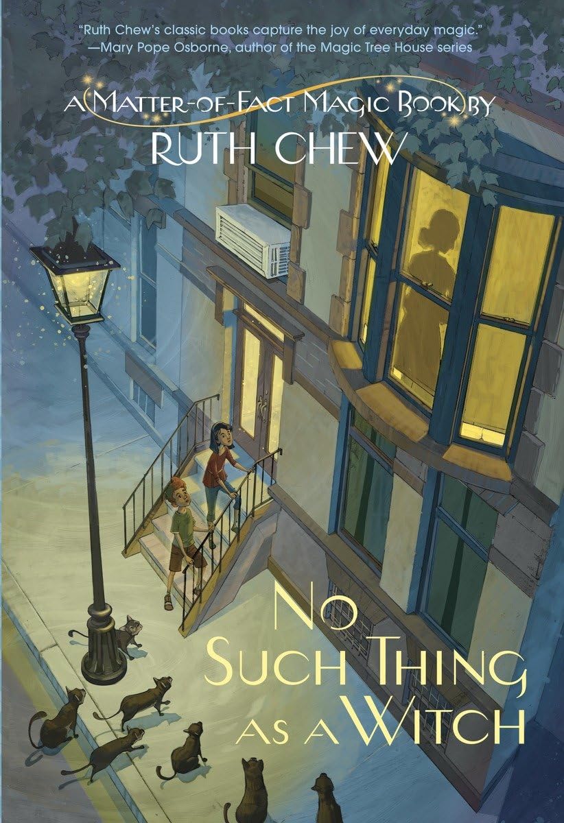 A Matteroffact Magic Book: No Such Thing As A Witch