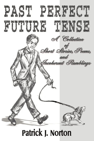 Past Perfect Future Tense: A Collection of Short Stories, Poems, and Incoherent Ramblings,Used