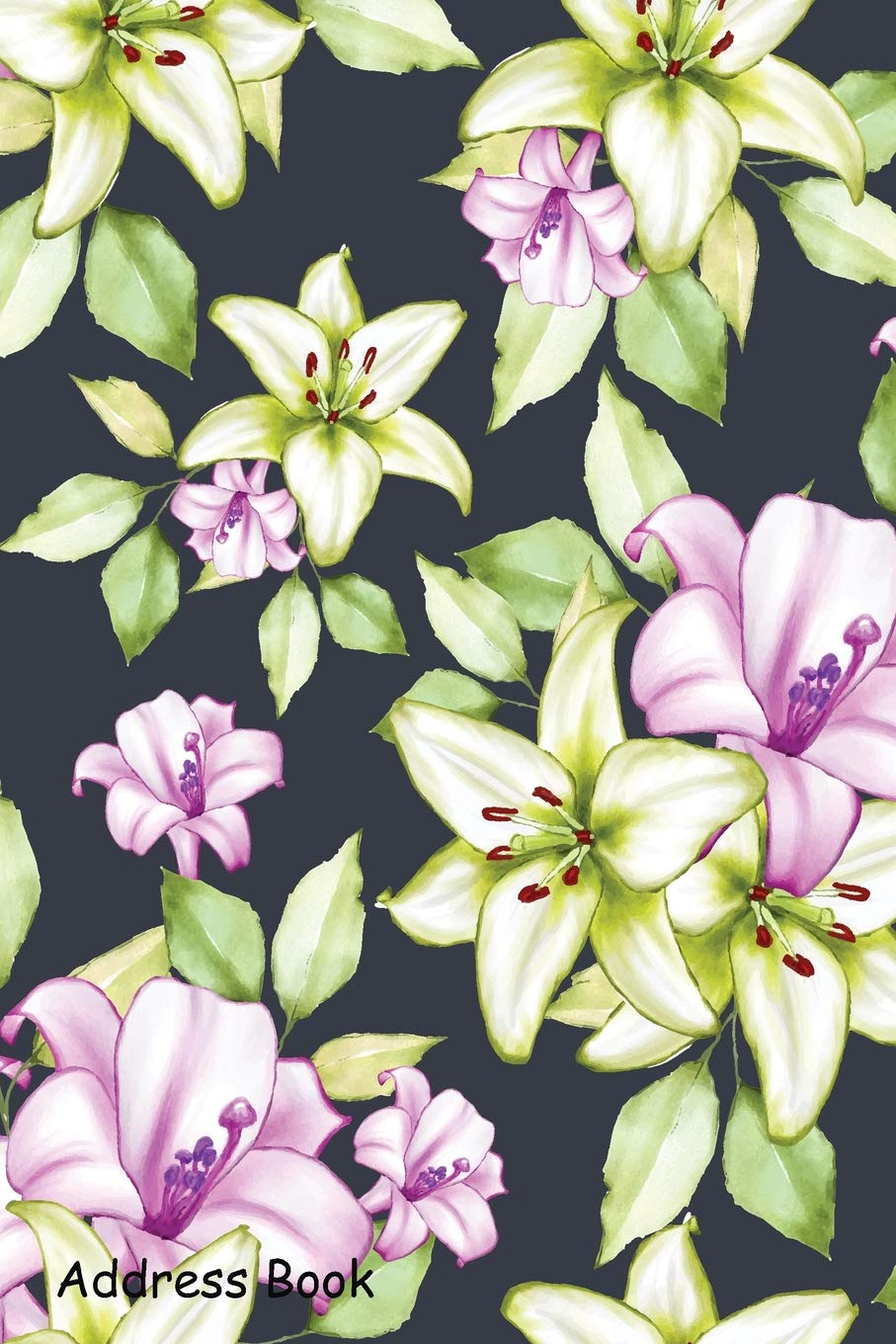 Address Book: For Contacts, Addresses, Phone, Email, Note,Emergency Contacts,Alphabetical Index With Beautiful Watercolor Floral,Used