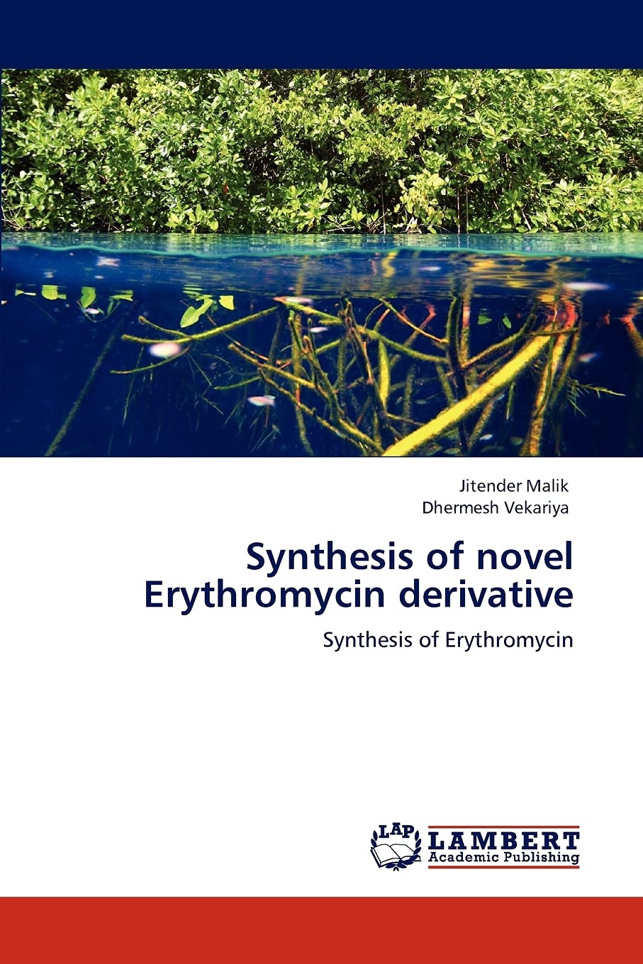 Synthesis of novel Erythromycin derivative: Synthesis of Erythromycin,Used