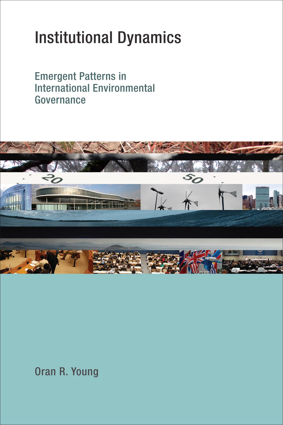 Institutional Dynamics: Emergent Patterns In International Environmental Governance (Earth System Governance),Used