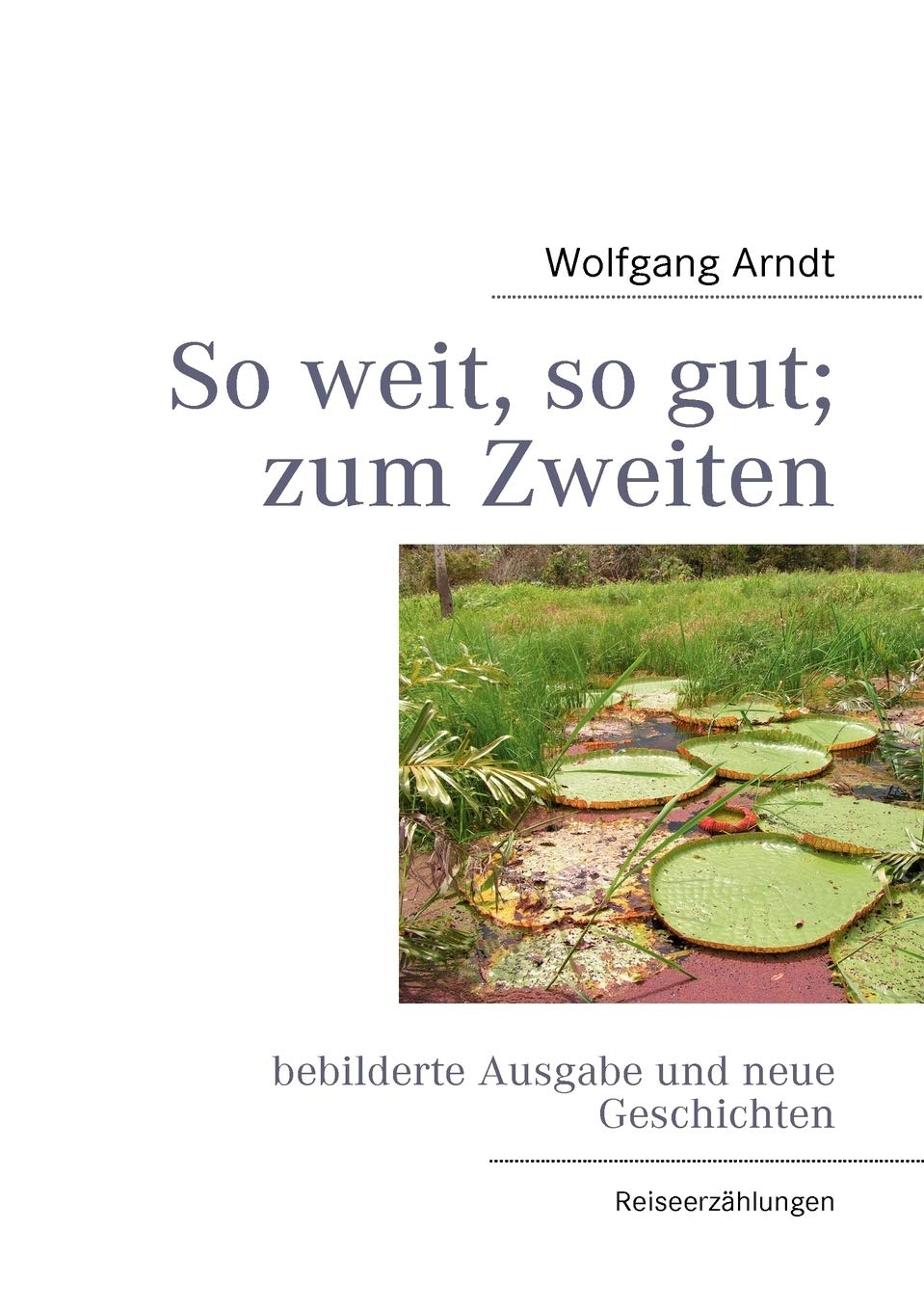 So weit, so gut; zum Zweiten: bebilderte Ausgabe und neue Geschichten (German Edition),Used
