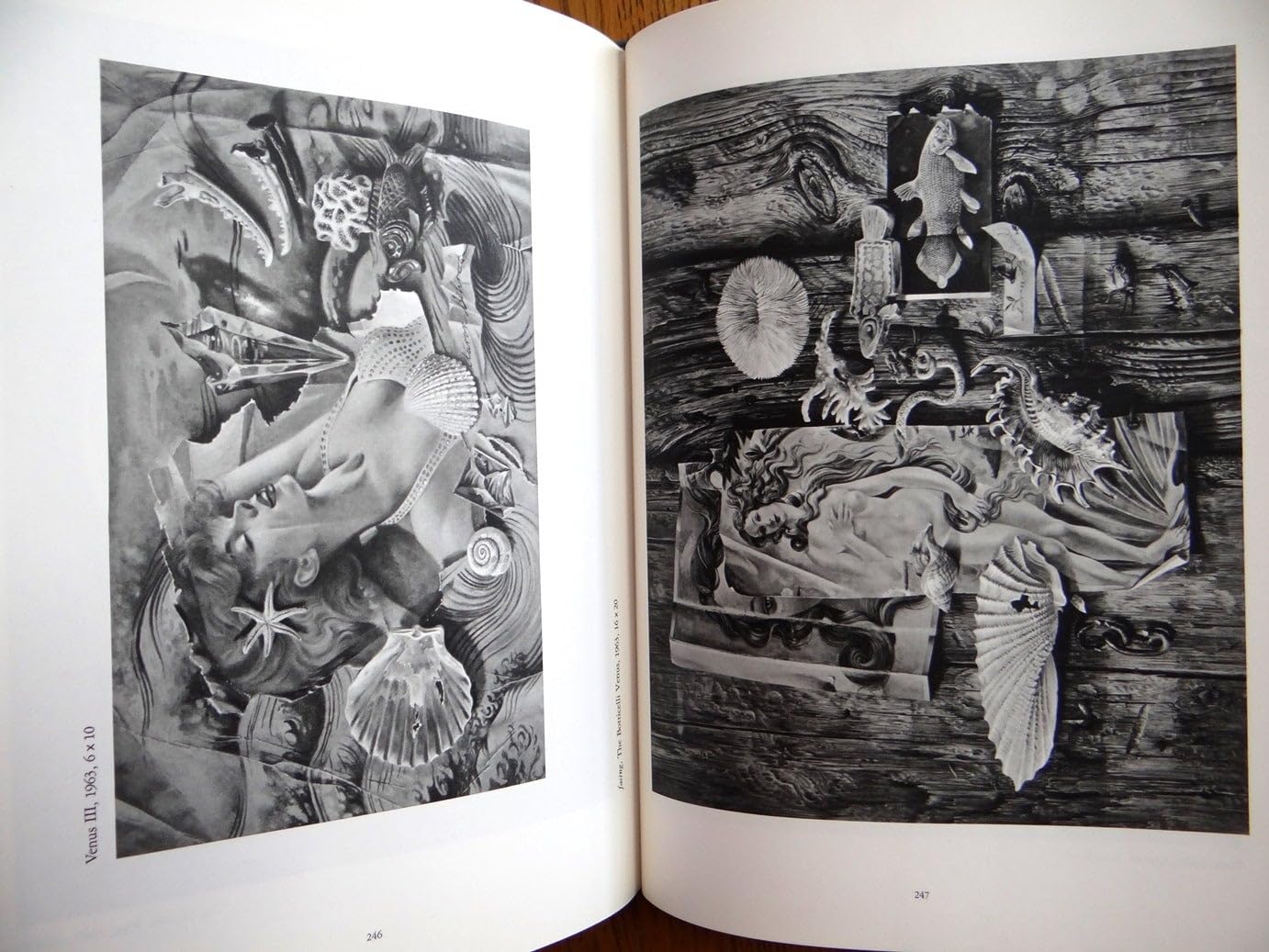 A Decade of Still Life,Used