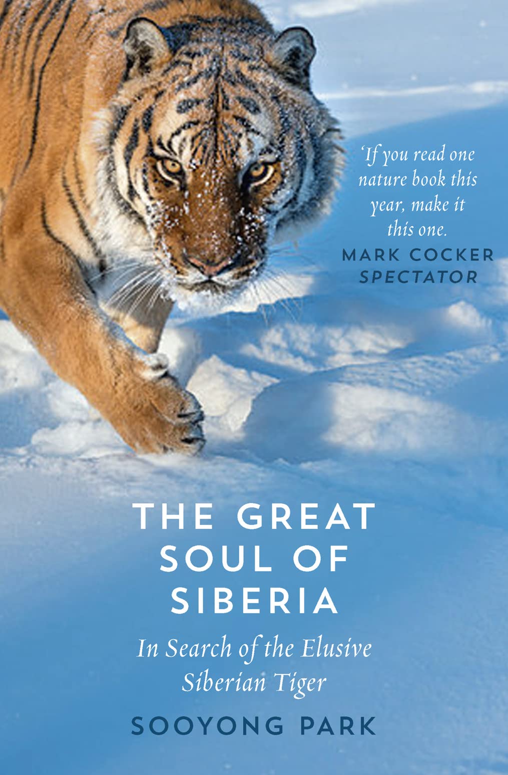 Great Soul of Siberia,Used